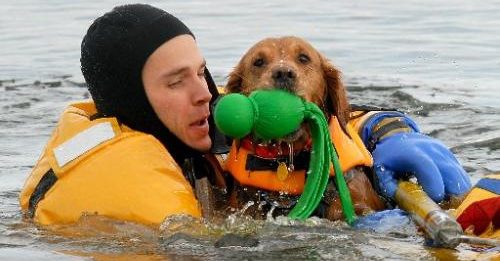 Ice rescue Training with Mountain View Fire