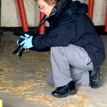 animal cruelty investigation training