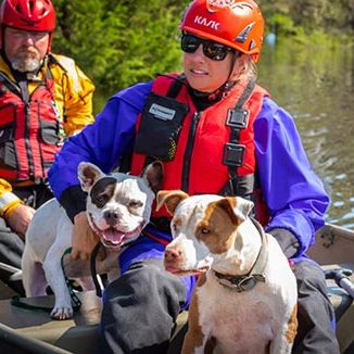 dogs being rescued in boat during a flood