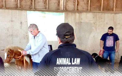 Essential Animal Services Training (EAST) - Code 3 Associates - Animal  Control Training