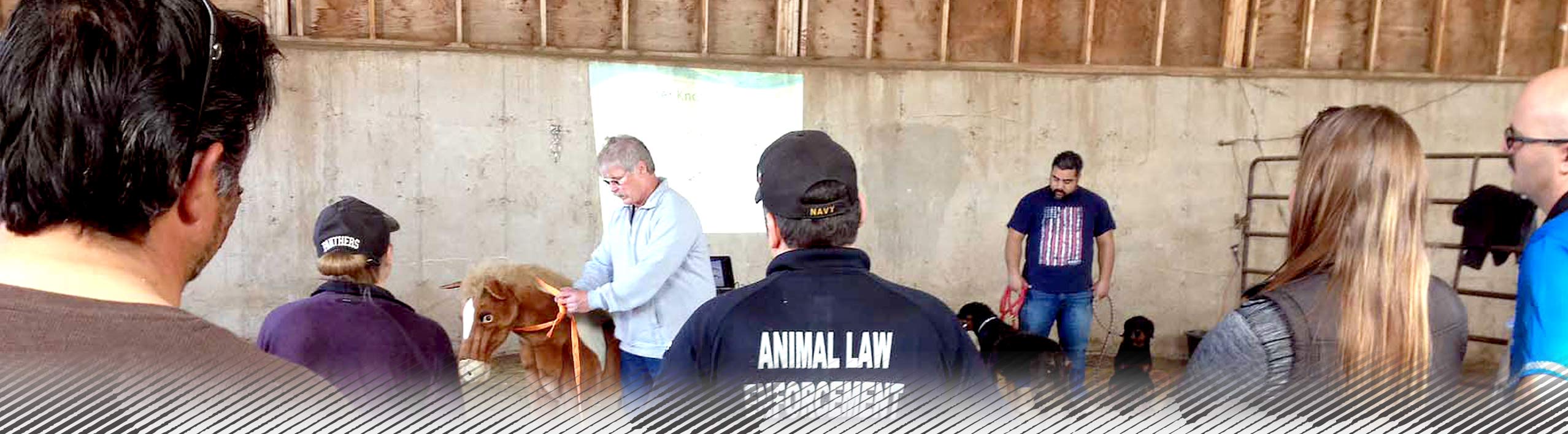 animal welfare training