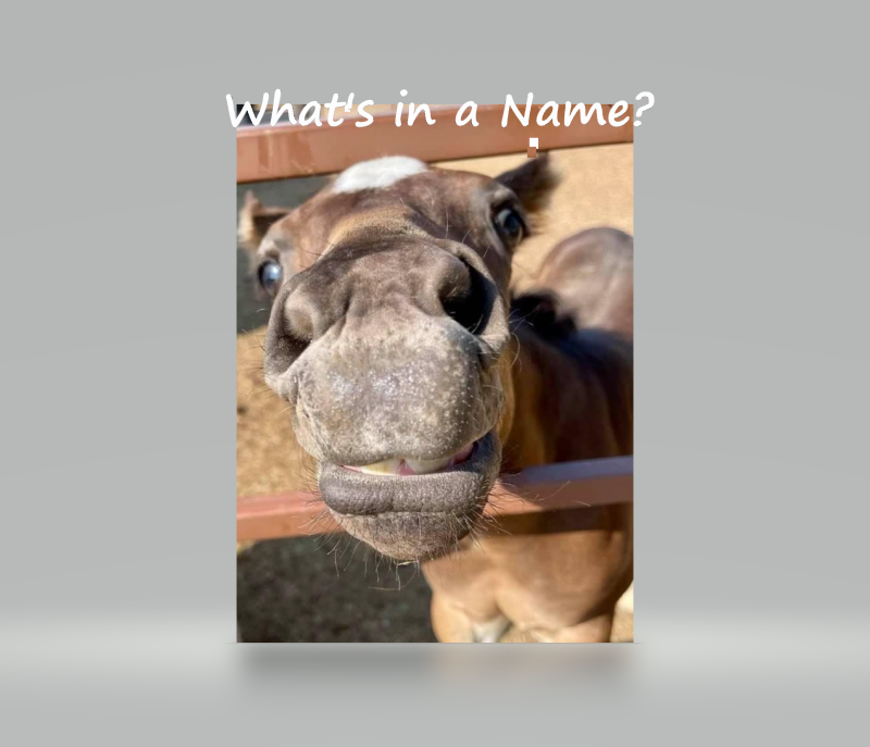 What's in a Name? - Code 3 Associates